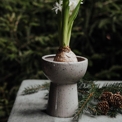 Storefactory LERYD Vase low nature